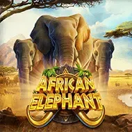 African ElephantPragmatic Play game thumbnail